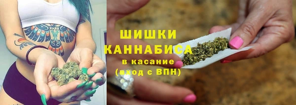 прущая мука Горняк
