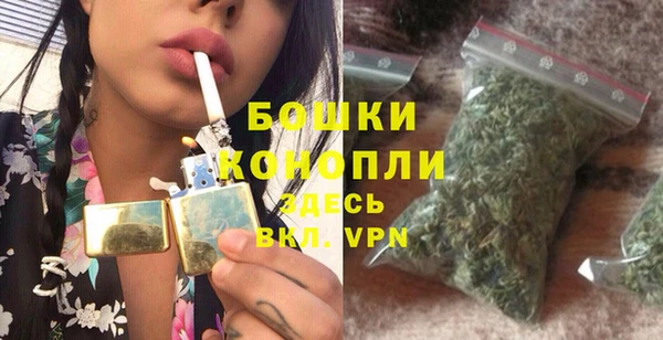 винт Гусев
