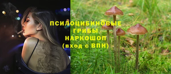 хмурый Горнозаводск